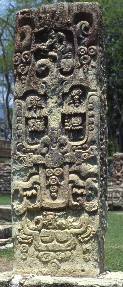 Parte trasera de la estela B, Copán, Período Clásico Tardío, 731 d.C. de Mayan